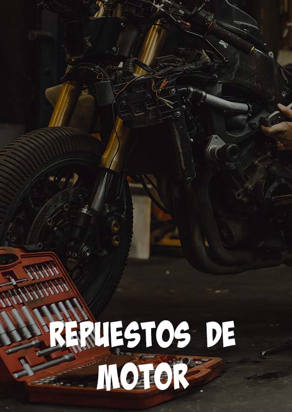 Repuestos Motor